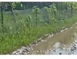 IMG-20251228-WA0002(1)