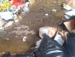 IMG-20260303-WA0000(1)