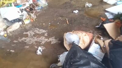 IMG-20260303-WA0000(1)